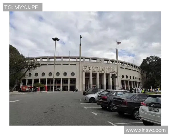 法媒：普拉蒂尼回到家园，发动“工人足球与移民”博物馆项目